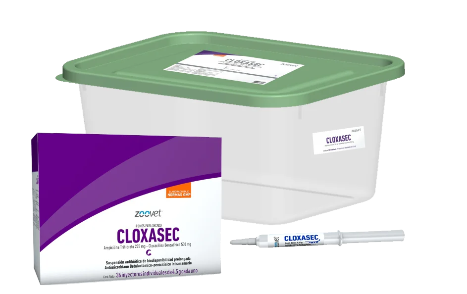 CLOXASEC x 36 jer