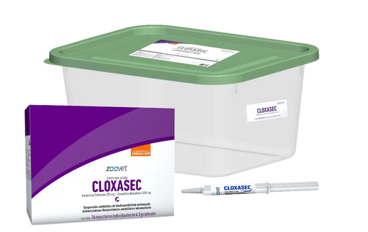 CLOXASEC x 36 jer