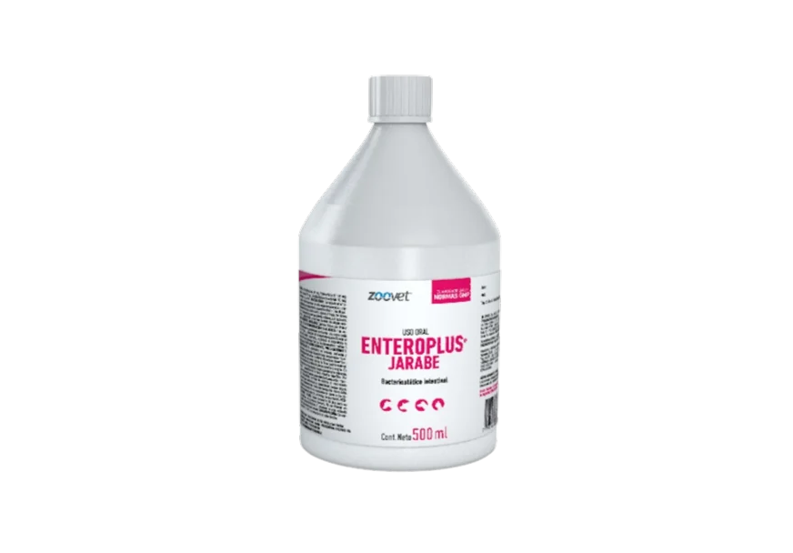 ENTEROPLUS JARABE x 500 ml
