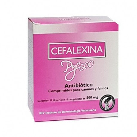 CEFALEXINA PYO 500 x 100 comp