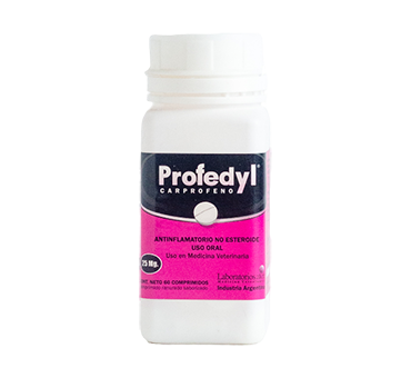 PROFEDYL 100 mg x 60 comp