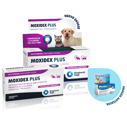 MOXIDEX PLUS x 15 comp