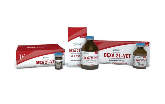 DEXA 21-VET x 100 ml