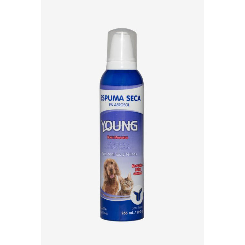 ESPUMA SECA AEROSOL YOUNG x 265 ml