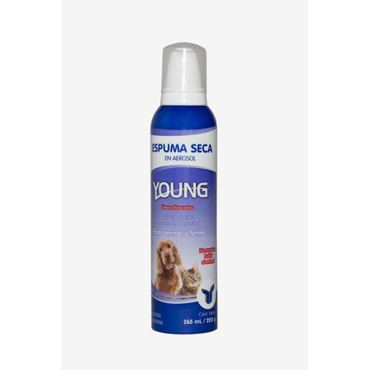 ESPUMA SECA AEROSOL YOUNG x 265 ml