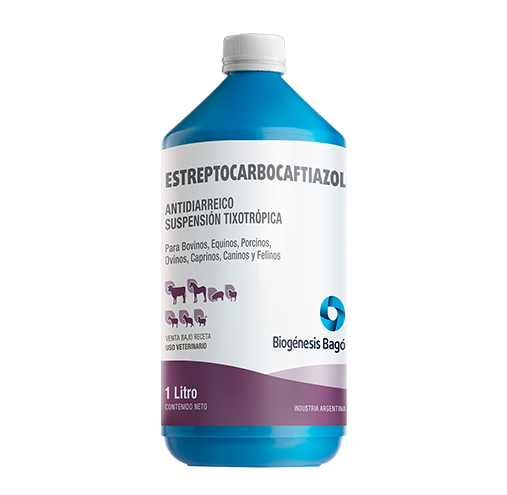 ESTREPTO CARBOCAFTIAZOL x 1 L