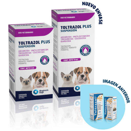 TOLTRAZOL PLUS x 10 ml