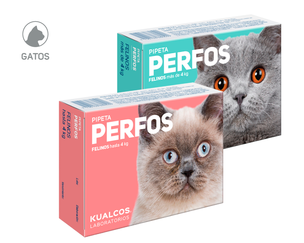 PERFOS FELINOS H 4 Kgs x 1 u