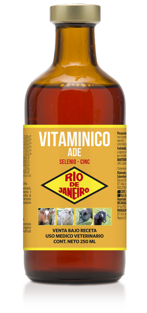 VITAMINICO ADE C/SELENIO Y ZINC x 250 ml
