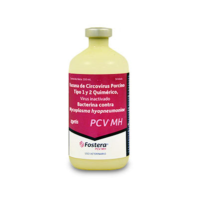 FOSTERA PCV MH x 50 ds