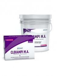CLOXAMPI BALDE x 180 jer
