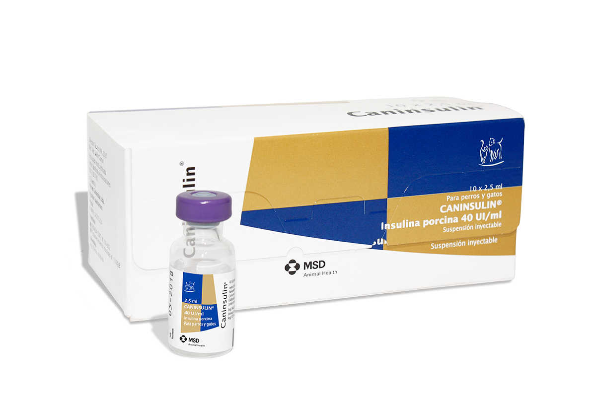 CANINSULIN JERINGAS 30 u x 1 ml