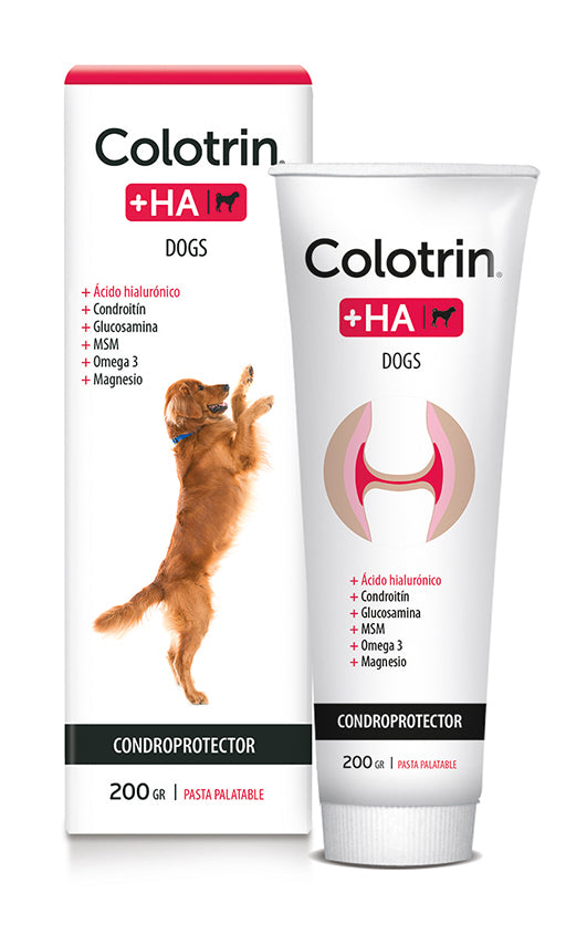 COLOTRIN + HA DOG PASTA PALATABLE x 200 grs