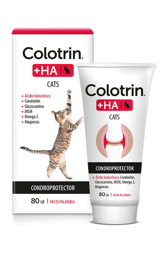 COLOTRIN + HA CAT PASTA x 80 grs