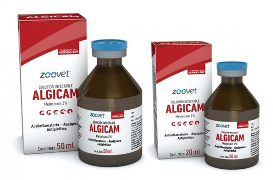 ALGICAM 2 % x 50 ml