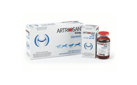 ARTROSAN EQUINOS I.M. x 6 ml
