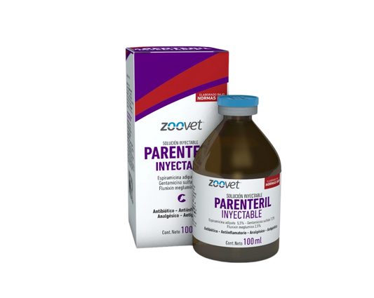 PARENTERIL INY x 100 ml