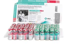 NOBIVAC EDGE DAPPv + L4 x 1 ds