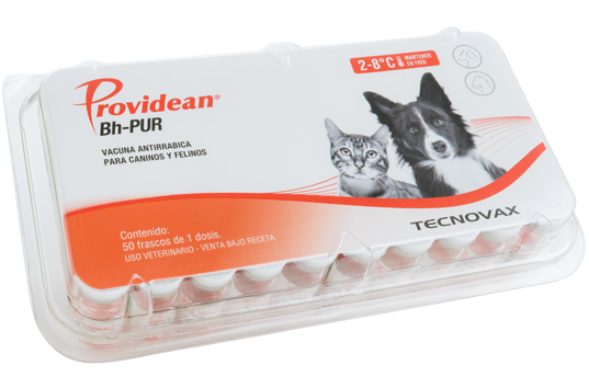 PROVIDEAN BH-PUR x 1 ds