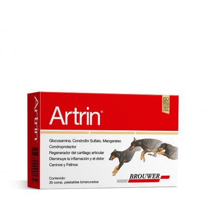 ARTRIN PALATABLE x 30 comp