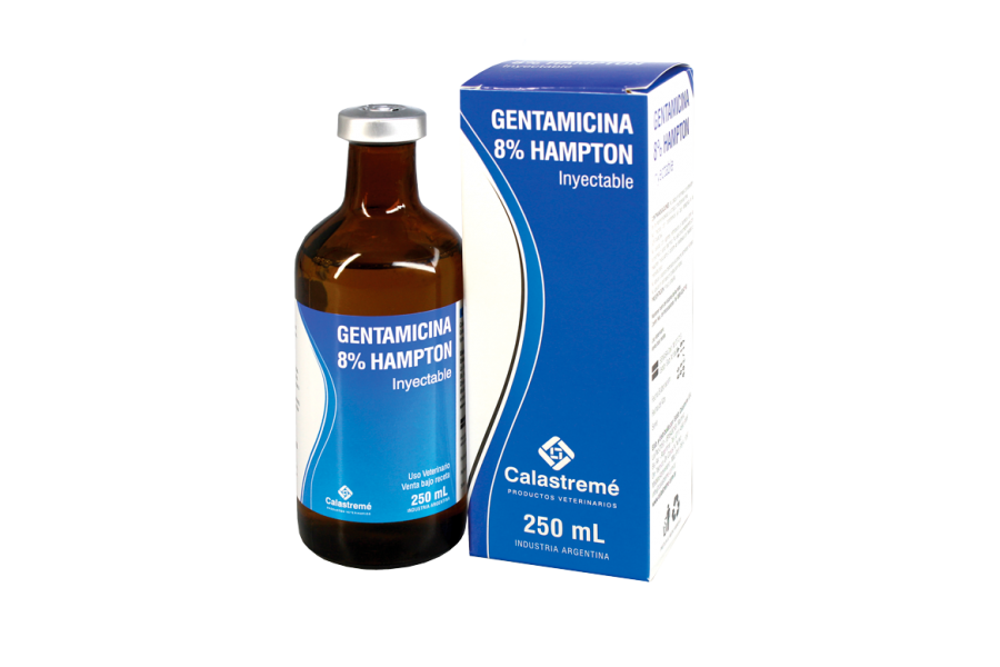 GENTAMICINA 8 % HAMPTON x 100 ml