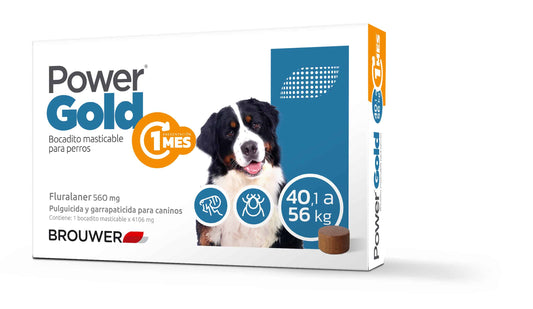 POWER GOLD 1 MES H 56 Kgs