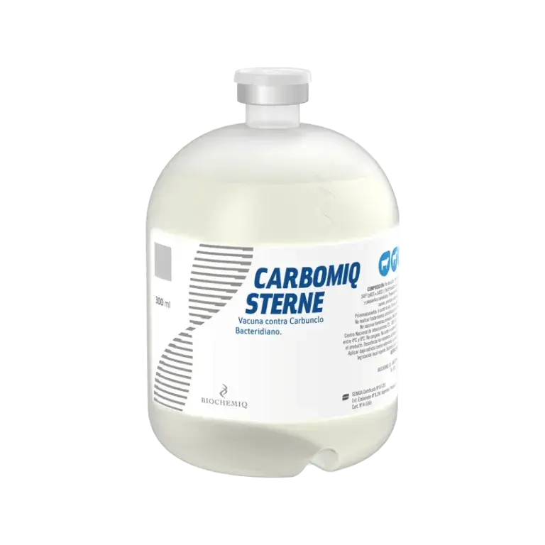 CARBOMIQ STERNE x 50 ds