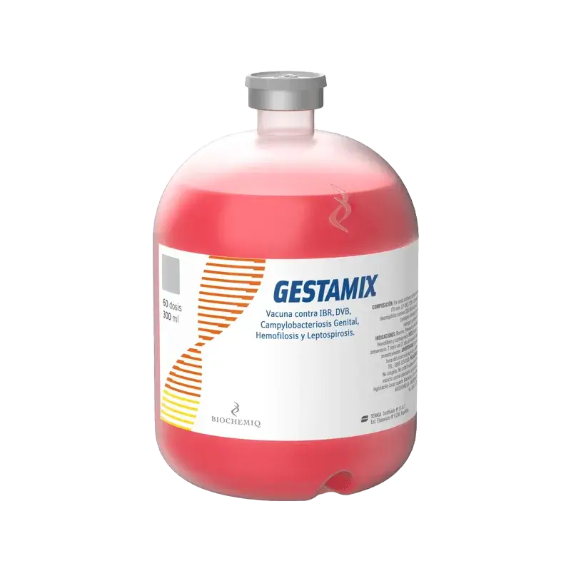 GESTAMIX x 60 ds