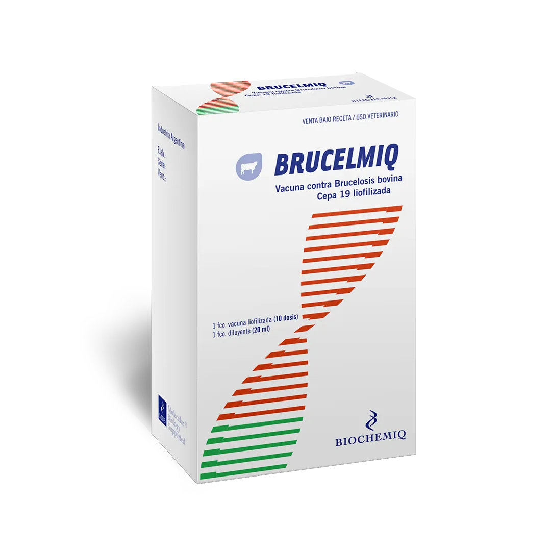 BRUCELMIQ x 10 ds