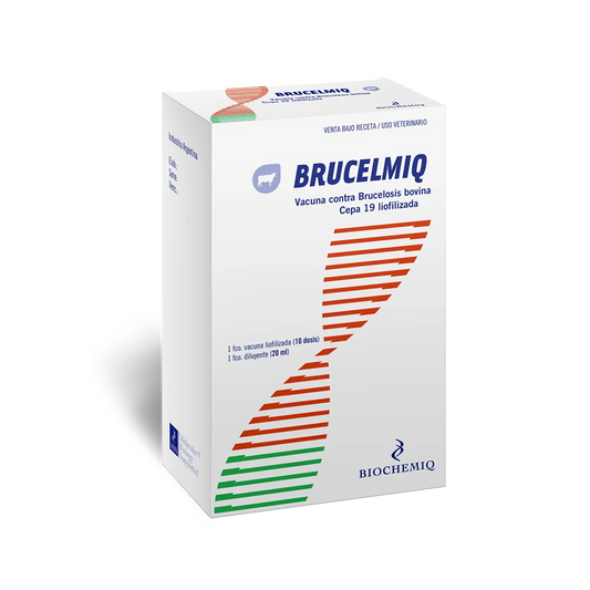 BRUCELMIQ x 10 ds