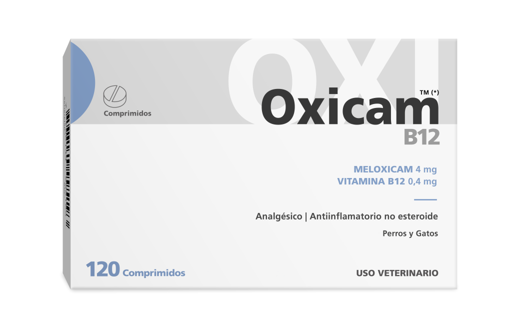 OXICAM B12 x 120 comp