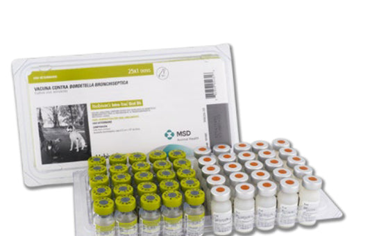 NOBIVAC INTRA-TRAC ORAL x 1 ds