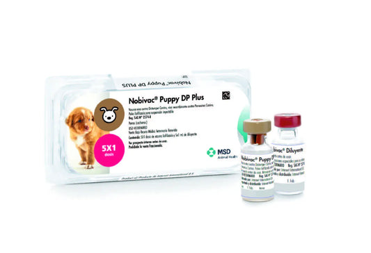 NOBIVAC PUPPY DP PLUS x 1 ds