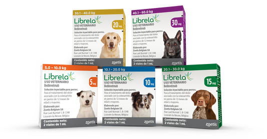 LIBRELA SOL. 15 mg (20 a 30 Kgs) 2 V x 1 ml