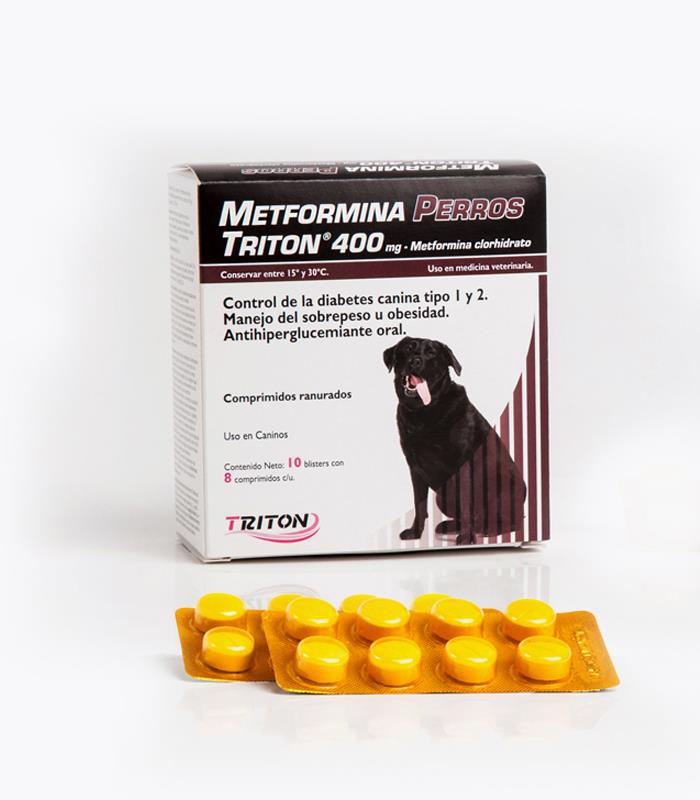 METFORMINA PERROS 400 x 80 comp