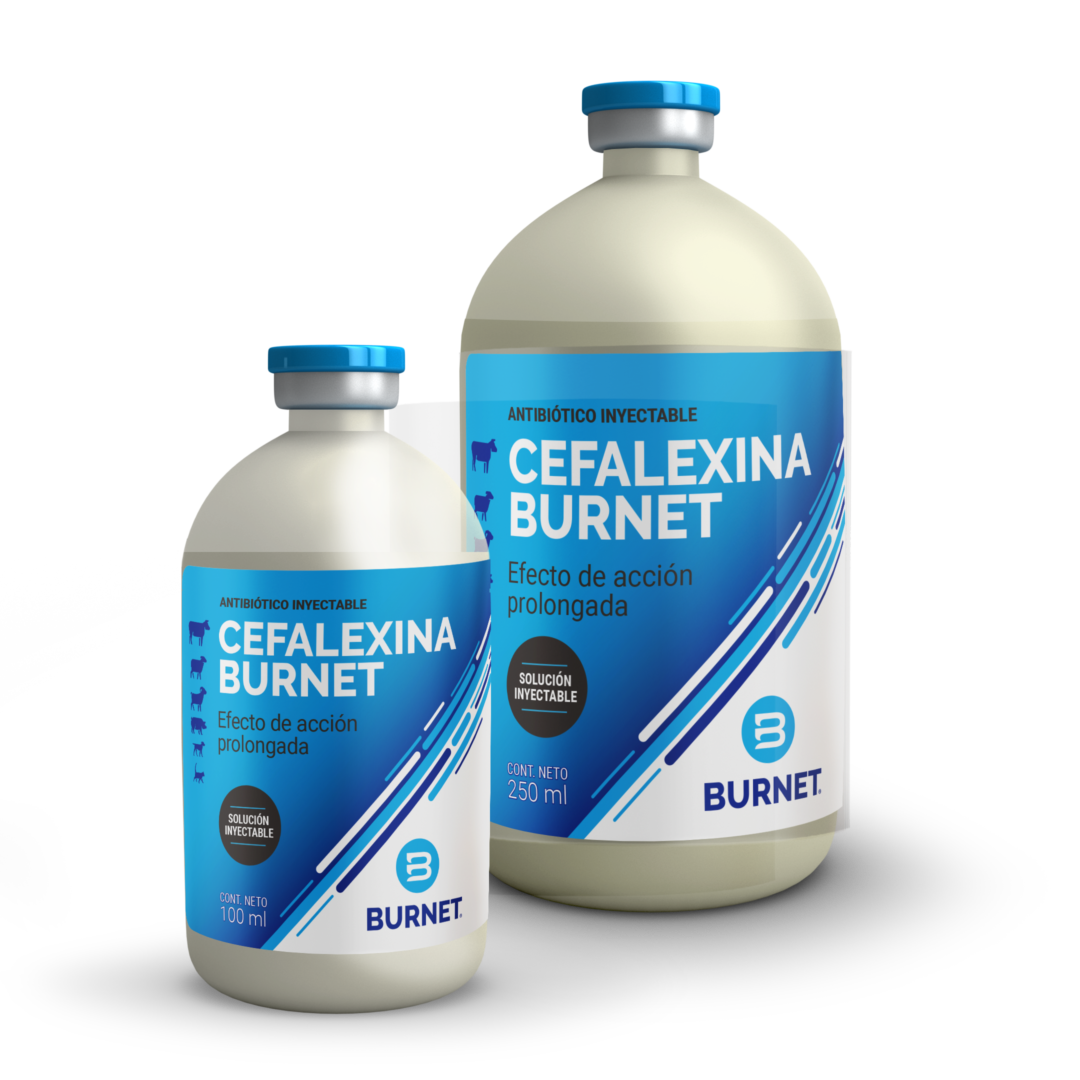 CEFALEXINA BURNET INY x 100 ml