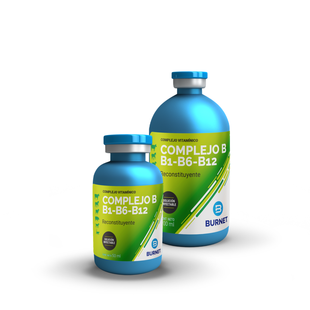 COMPLEJO B B1 B6 B12 x 50 ml