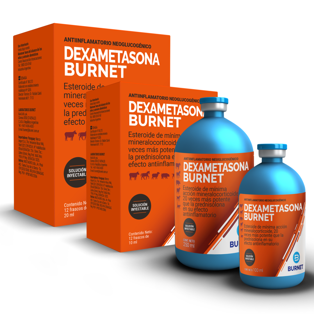 DEXAMETASONA BURNET x 100 ml