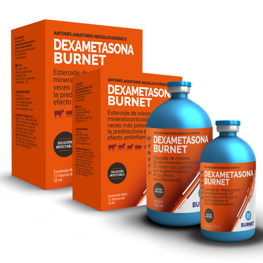DEXAMETASONA BURNET x 100 ml