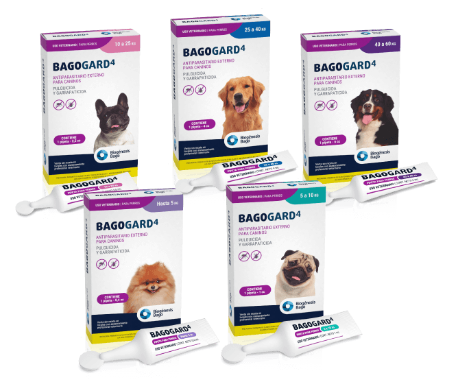 BAGOGARD 4 H 10 Kgs