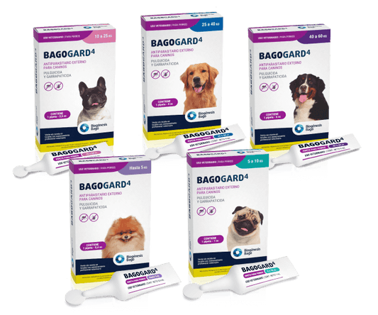 BAGOGARD 4 H 10 Kgs