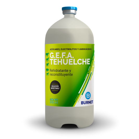 GEFA TEHUELCHE x 500 ml
