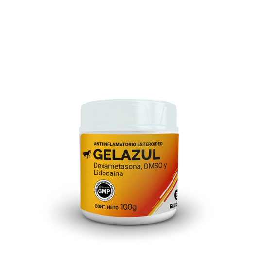 GEL AZUL x 100 grs