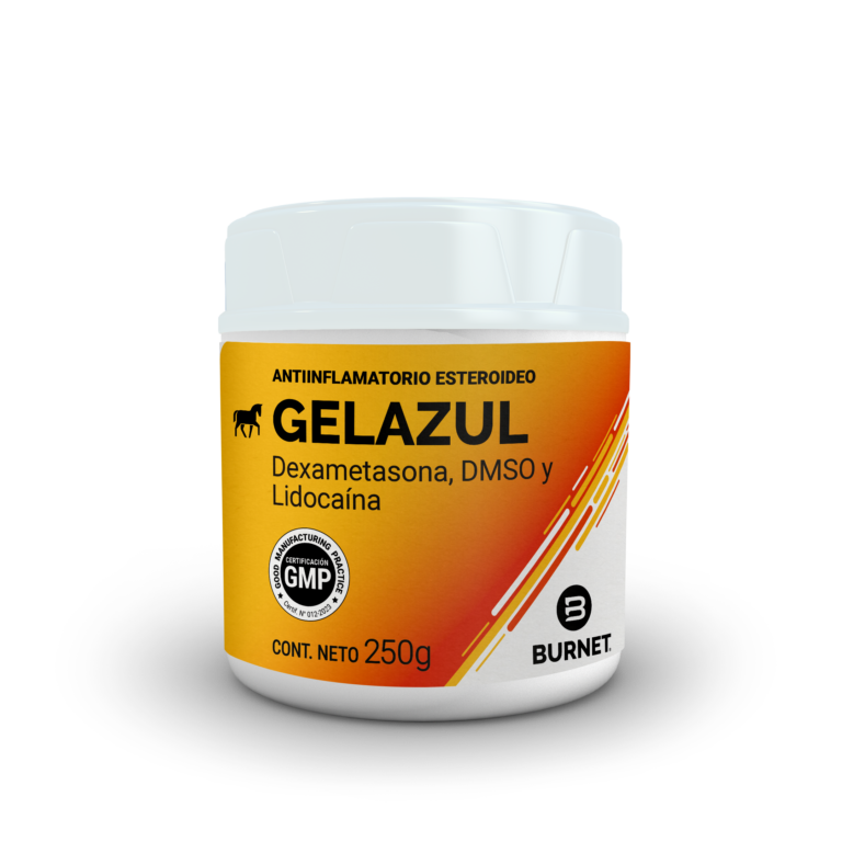 GEL AZUL x 250 grs