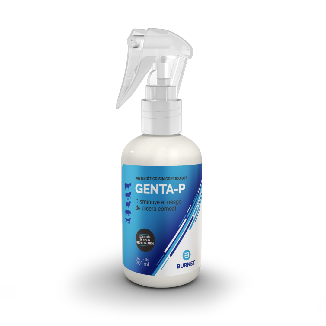 GENTA P x 200 ml